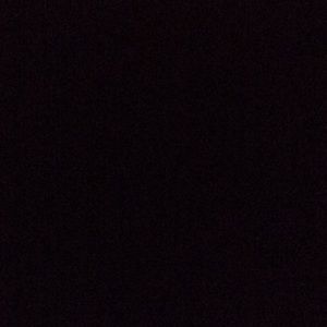 Meet your Posher, Ava